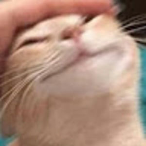 Meet your Posher, Evan